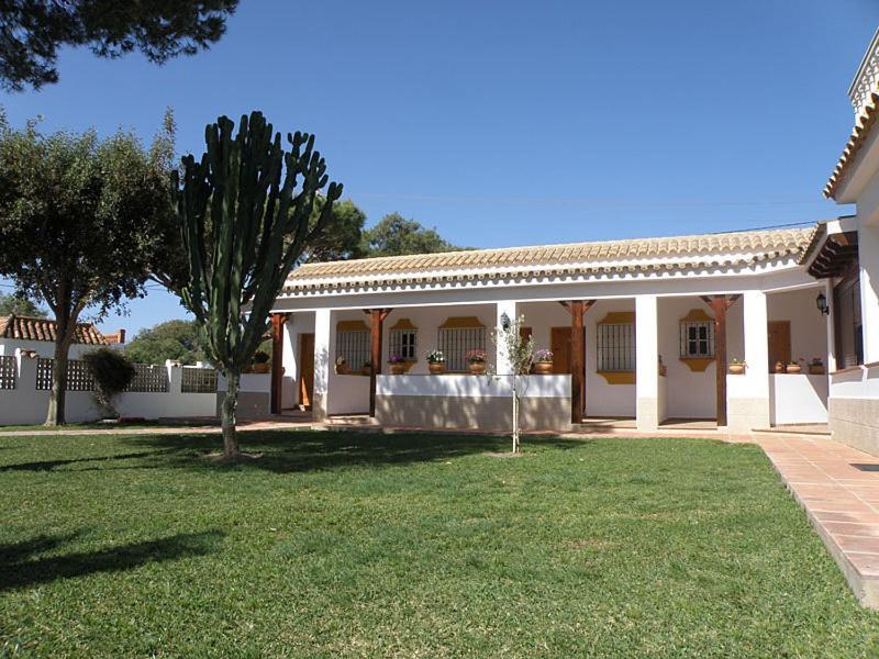 Hostal Las Acacias Los Canos De Meca Ngoại thất bức ảnh