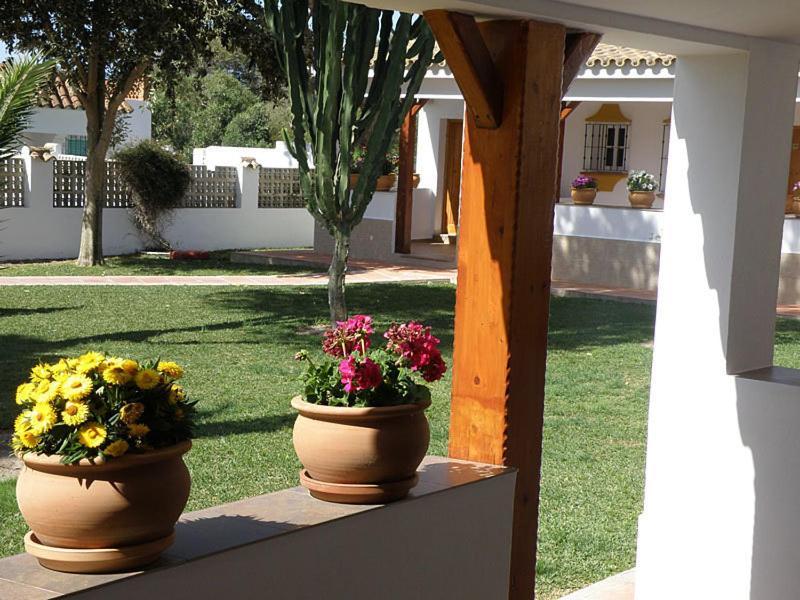 Hostal Las Acacias Los Canos De Meca Ngoại thất bức ảnh