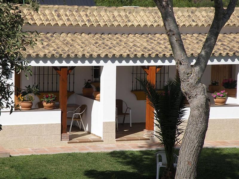 Hostal Las Acacias Los Canos De Meca Ngoại thất bức ảnh